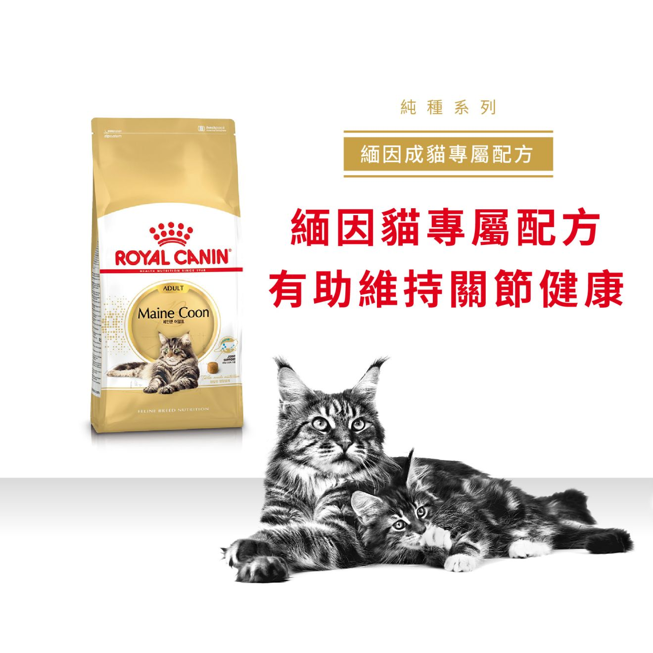 (原裝代理行貨) Royal Canin 成貓乾糧 - Maine Coon 緬因貓配方 2kg