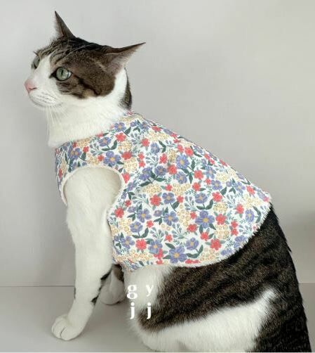 【現貨】gyjj．韓國阿珠媽背心┃共四色