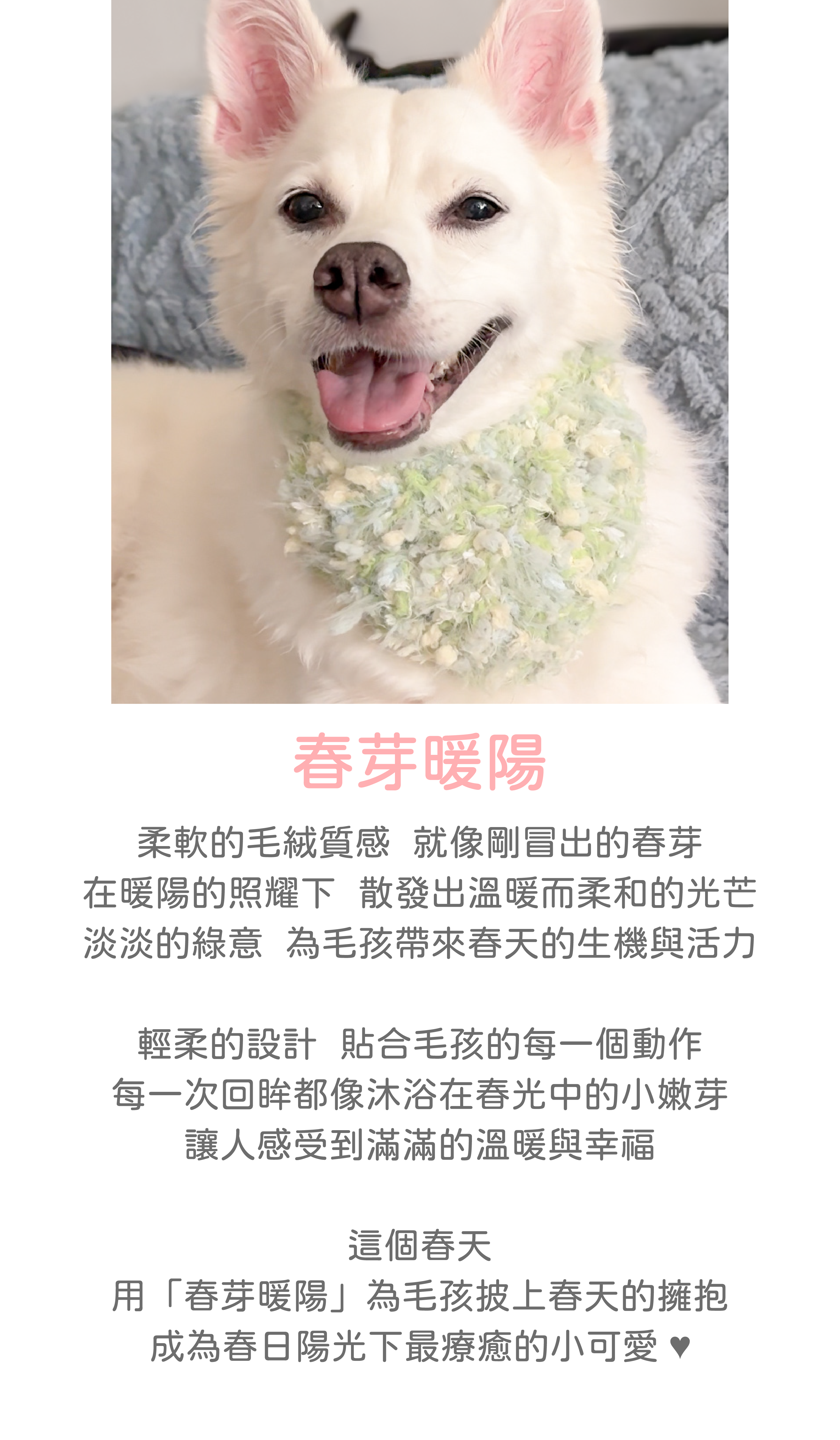 Chunya Nuanyang/Pet Scarf/Dog Scarf/Cat Scarf/Rabbit Scarf - Collars & Leashes - Cotton & Hemp