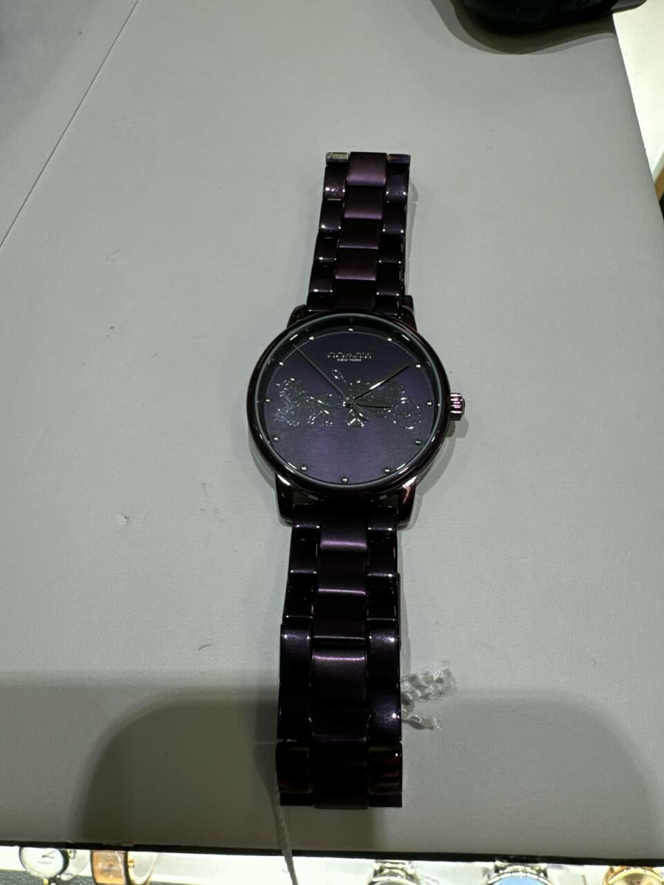 [U] LUXURY WATCH LUXURY WATCH COACH 14502923 GRAND WOMEN'S WATCH,PURPLE, 885997247634 (ULW101)