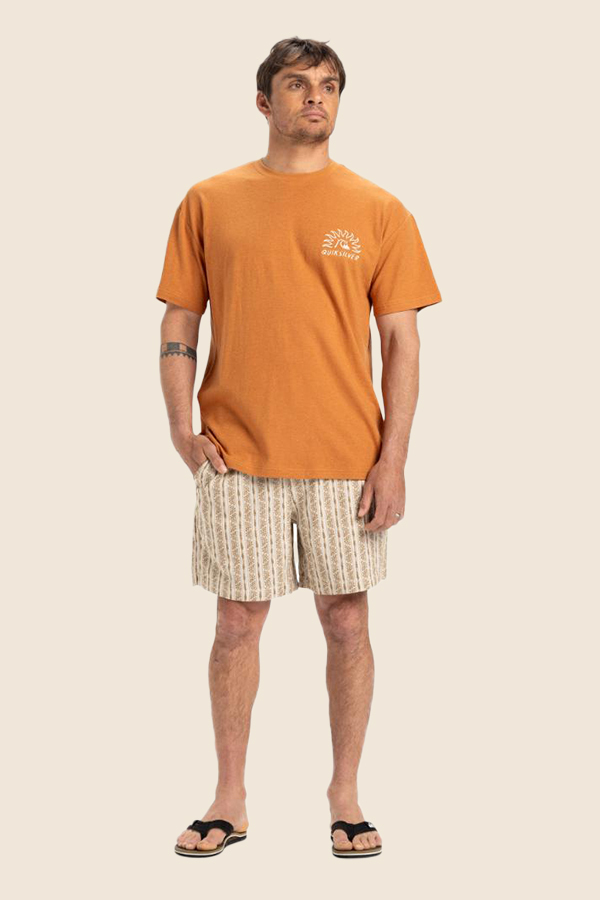 QUIKSILVER - CL FREEDOM SWELL SS 棉質短TEE