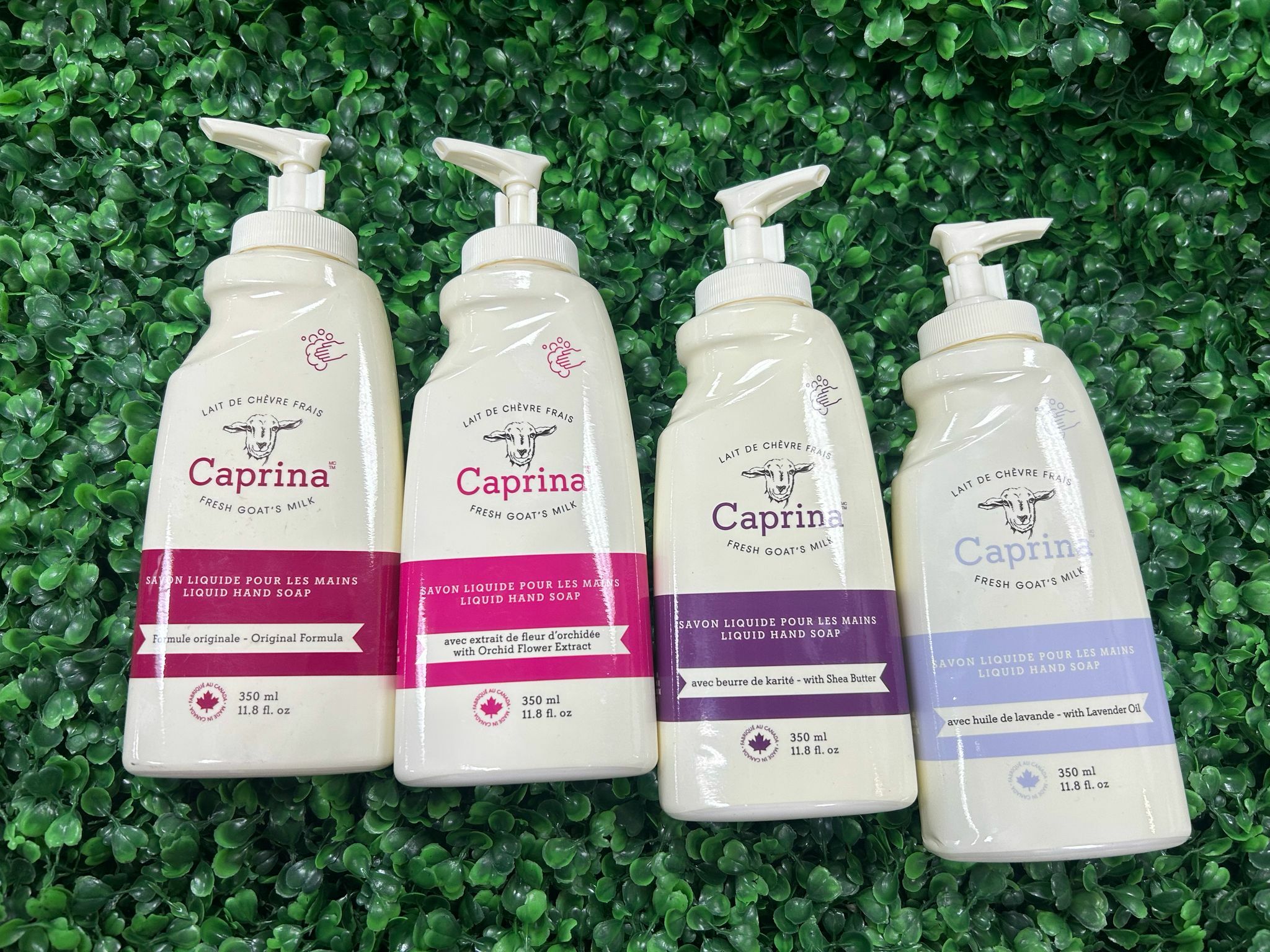 【現貨】Caprina LL021336 鮮羊奶滋潤潔手液 350ml