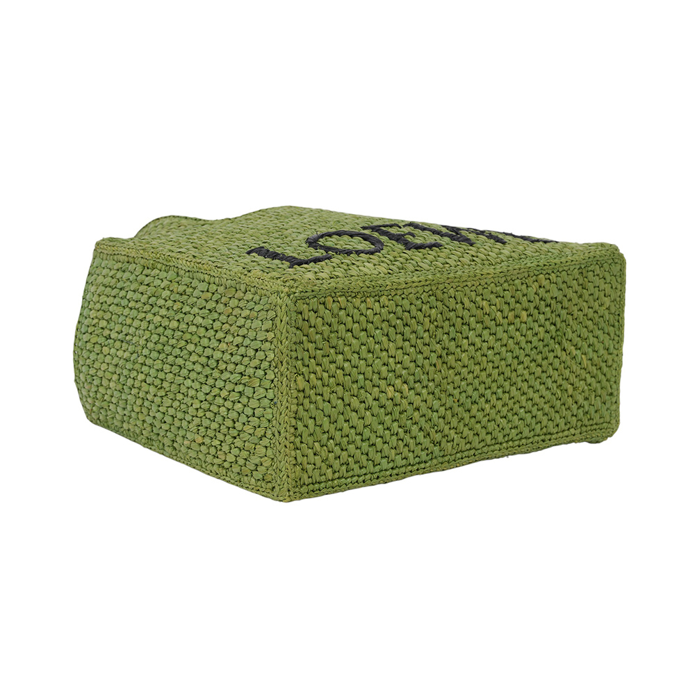 【LOEWE】Logo 標誌酒椰纖維小款二用包(綠色)A685B59X01 4100