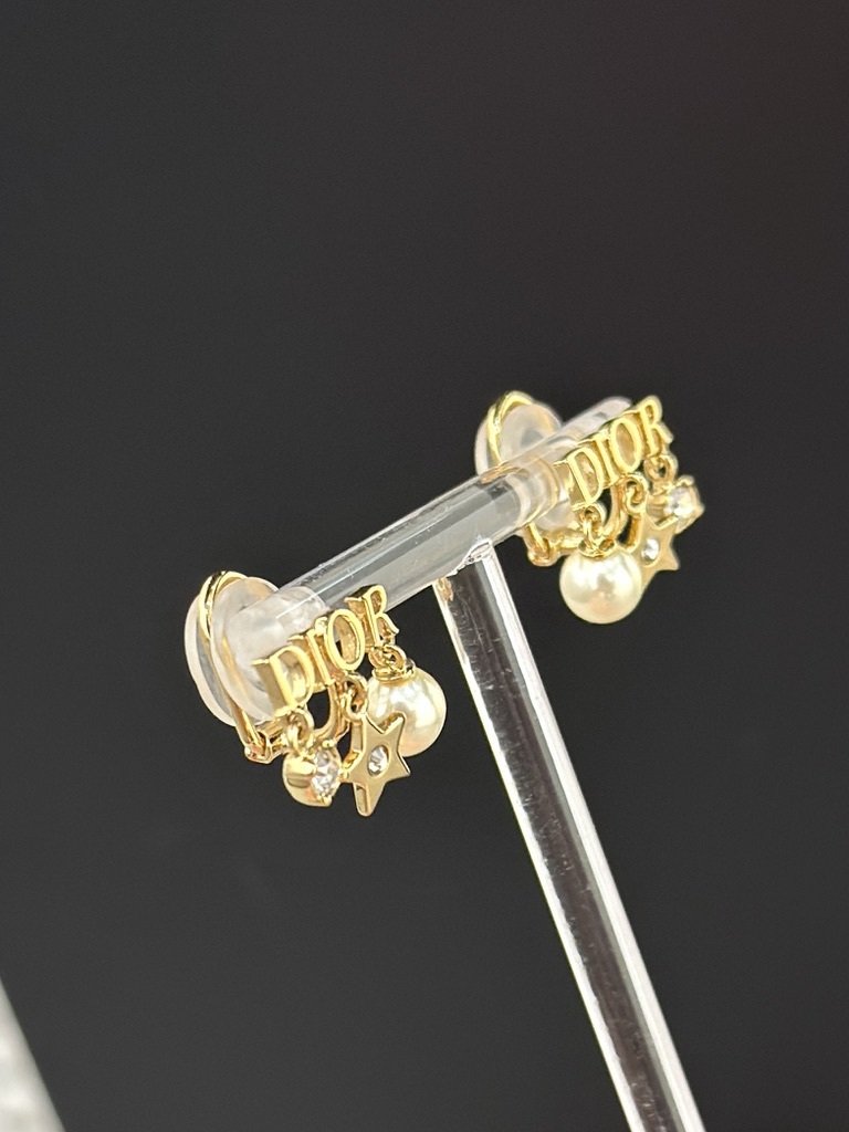 DIOR Dio(r)evolution Clip Earrings E1680