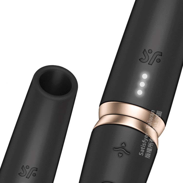 Satisfyer Perfect Kiss 3D 磁感律動吸吮器