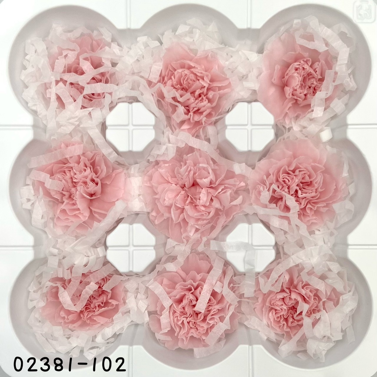 日本不凋中輪康乃馨(9朵) 02381-102