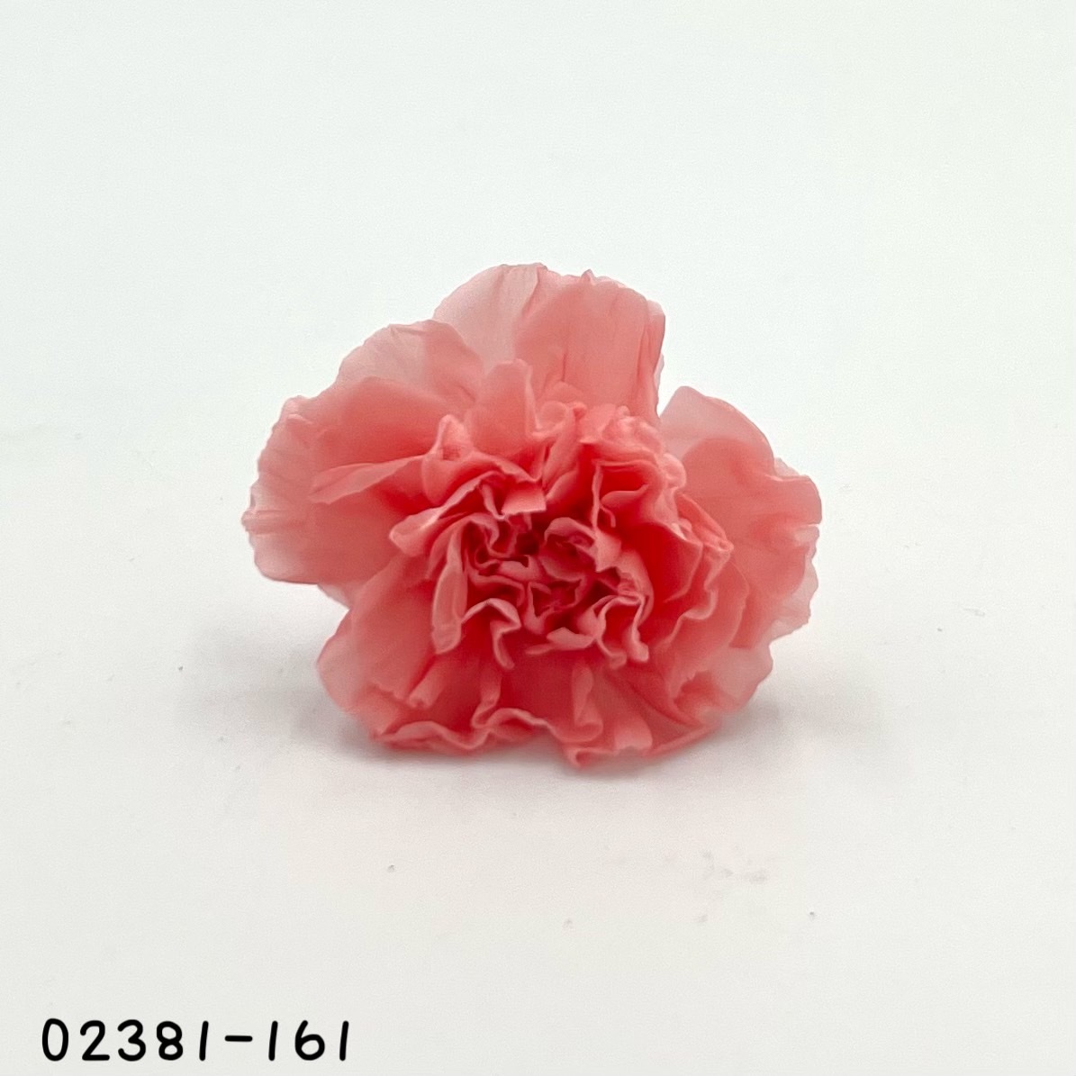 日本不凋中輪康乃馨(9朵) 02381-161