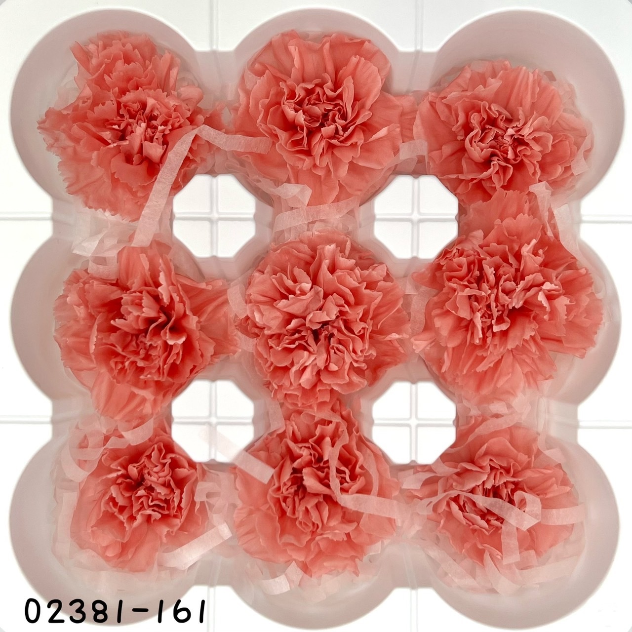 日本不凋中輪康乃馨(9朵) 02381-161