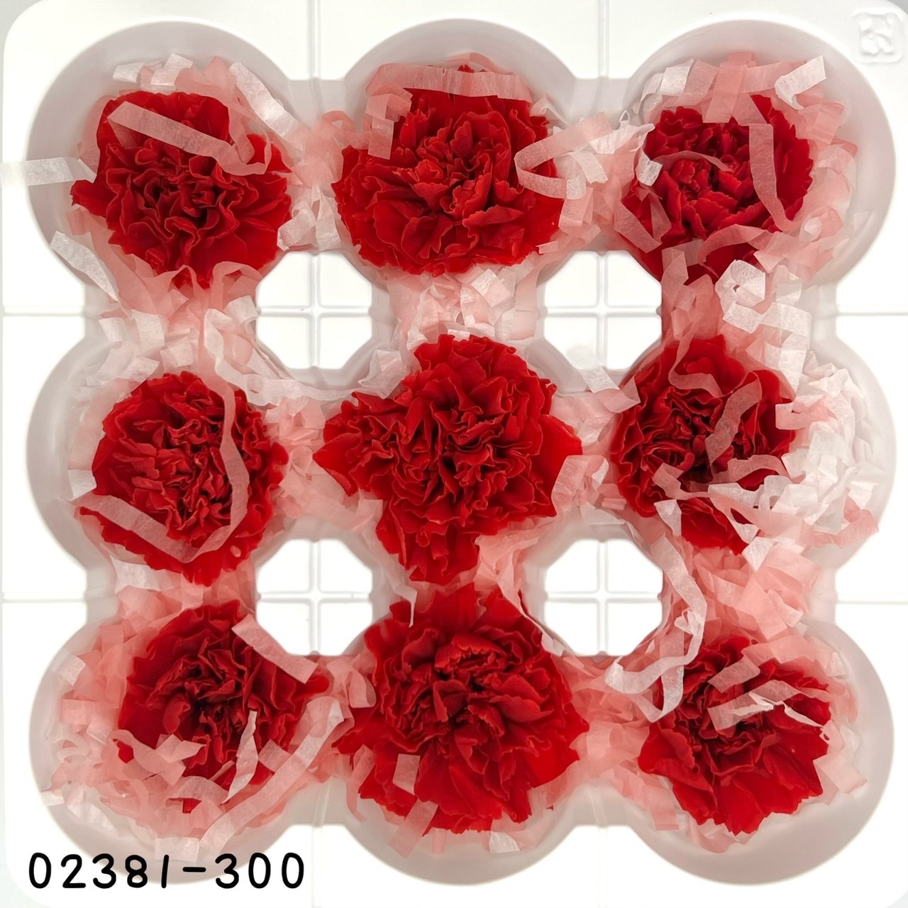 日本不凋中輪康乃馨(9朵) 02381-300