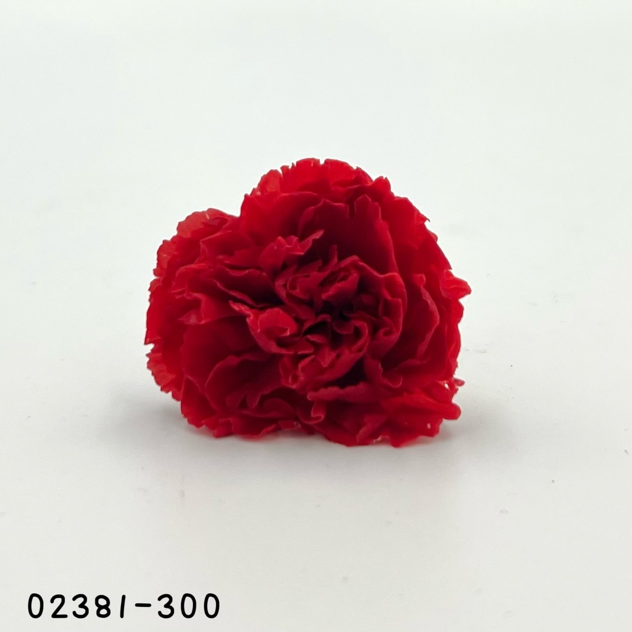 日本不凋中輪康乃馨(9朵) 02381-300