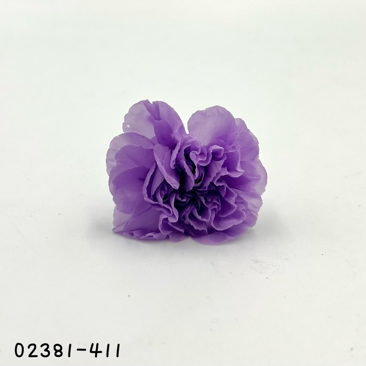 不凋康乃馨(9朵) 02381-411