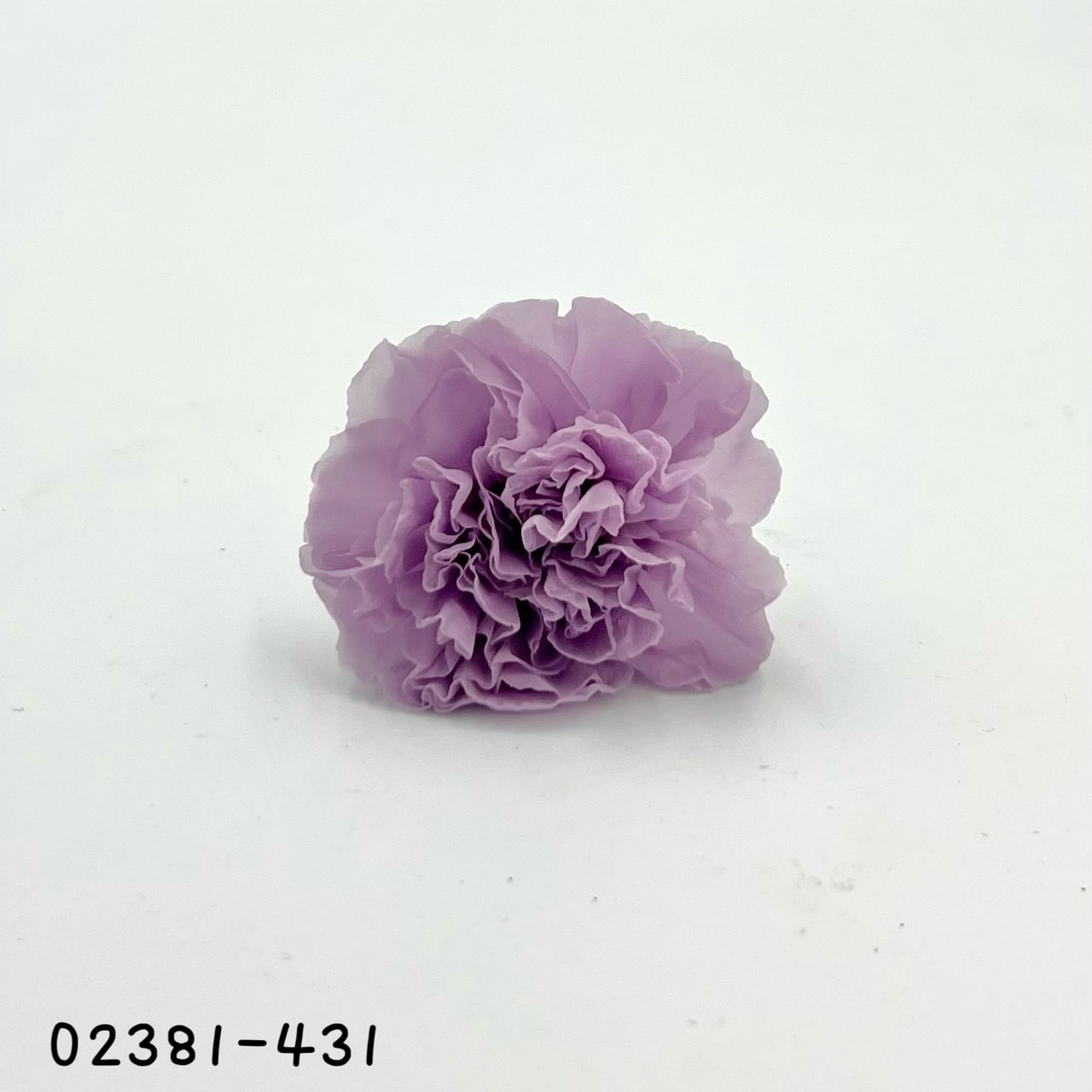 日本不凋中輪康乃馨(9朵) 02381-431