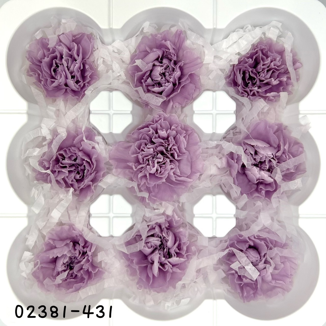 日本不凋中輪康乃馨(9朵) 02381-431