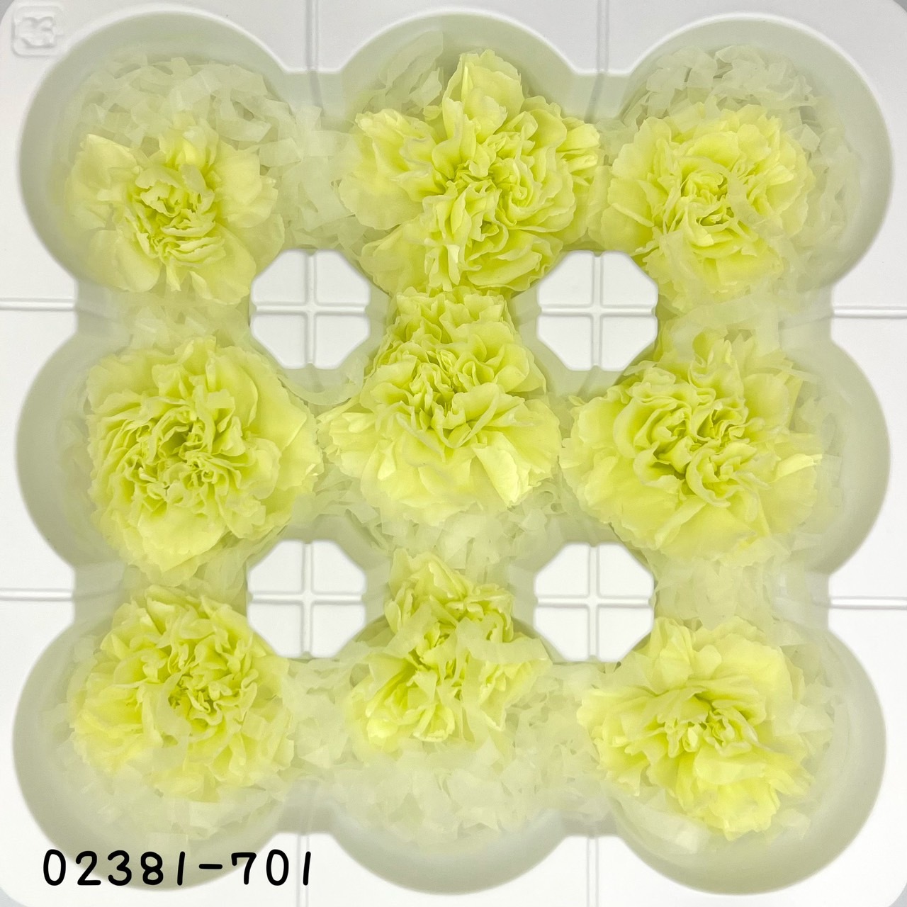 日本不凋中輪康乃馨(9朵) 02381-701