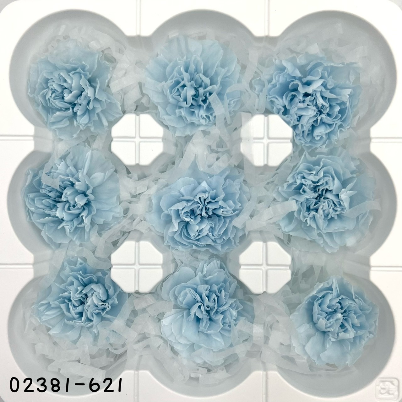 日笨不凋中輪康乃馨(9朵) 02381-621