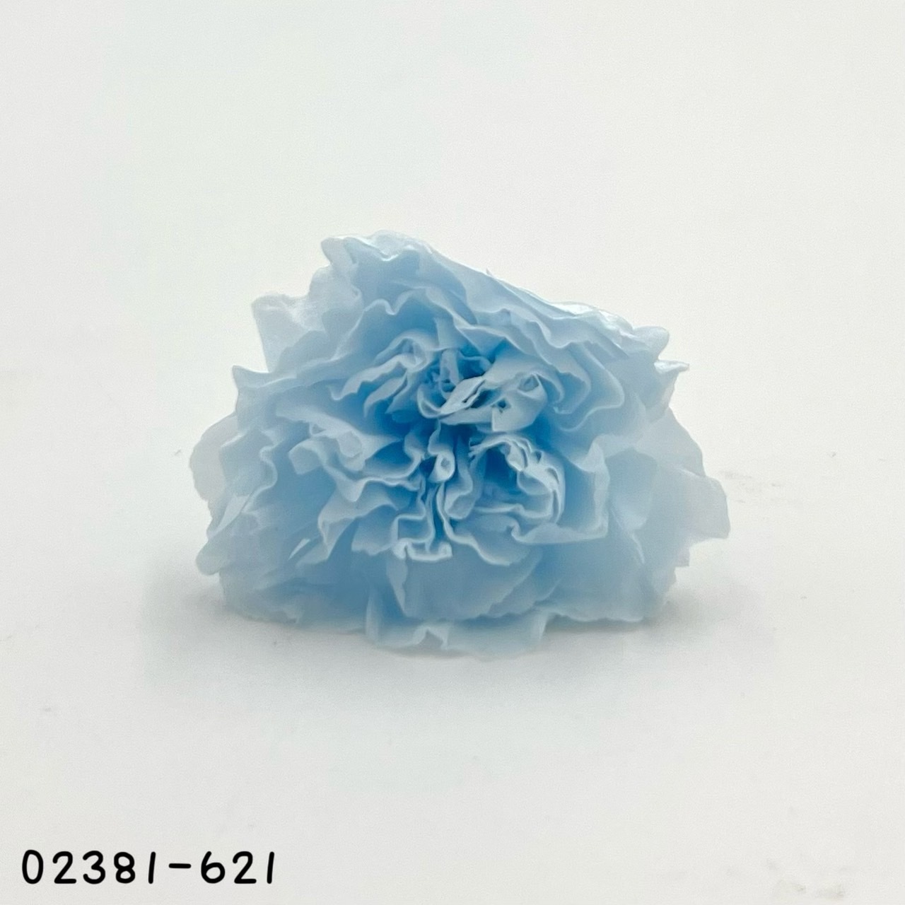 日笨不凋中輪康乃馨(9朵) 02381-621