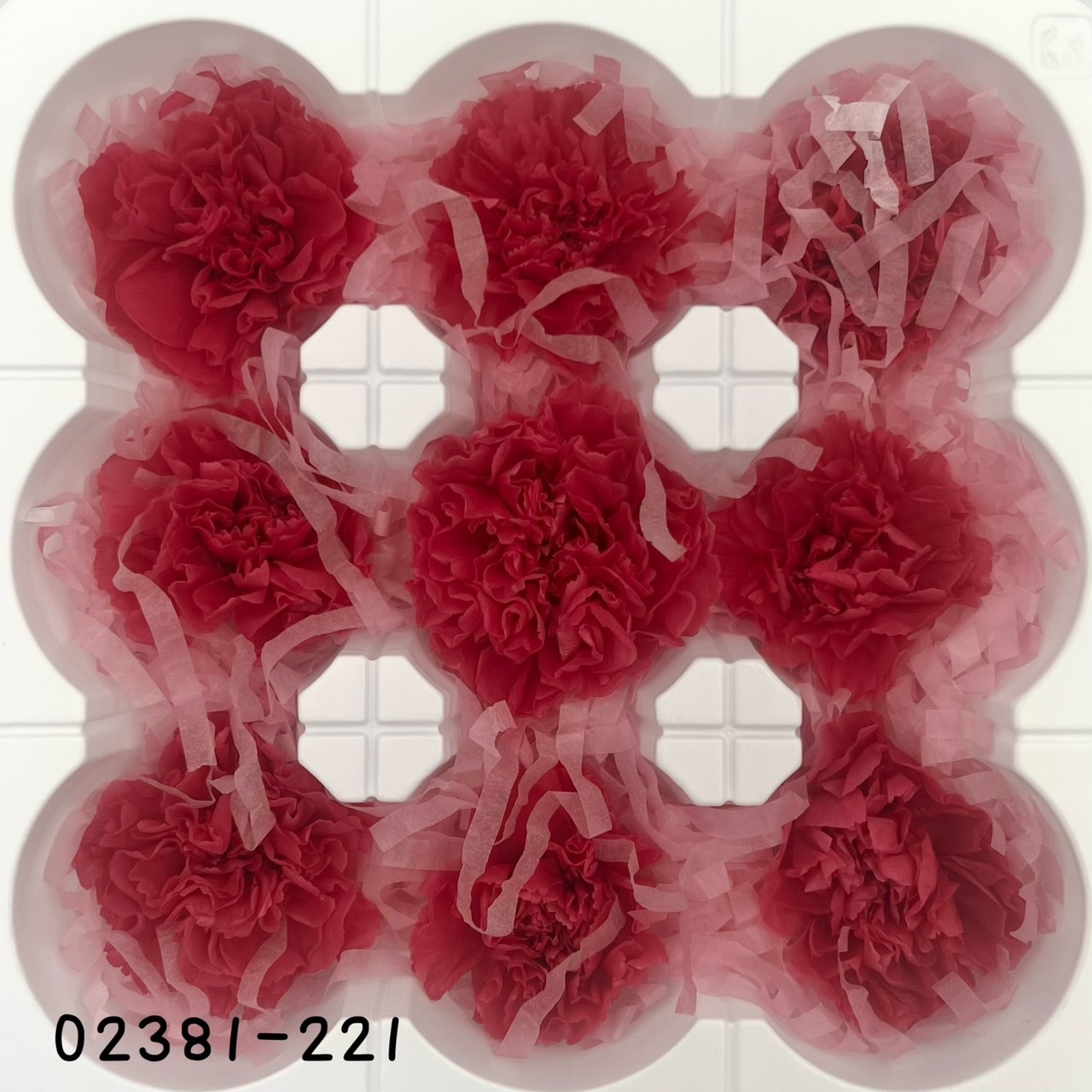 日本不凋中輪康乃馨(9朵) 02381-221