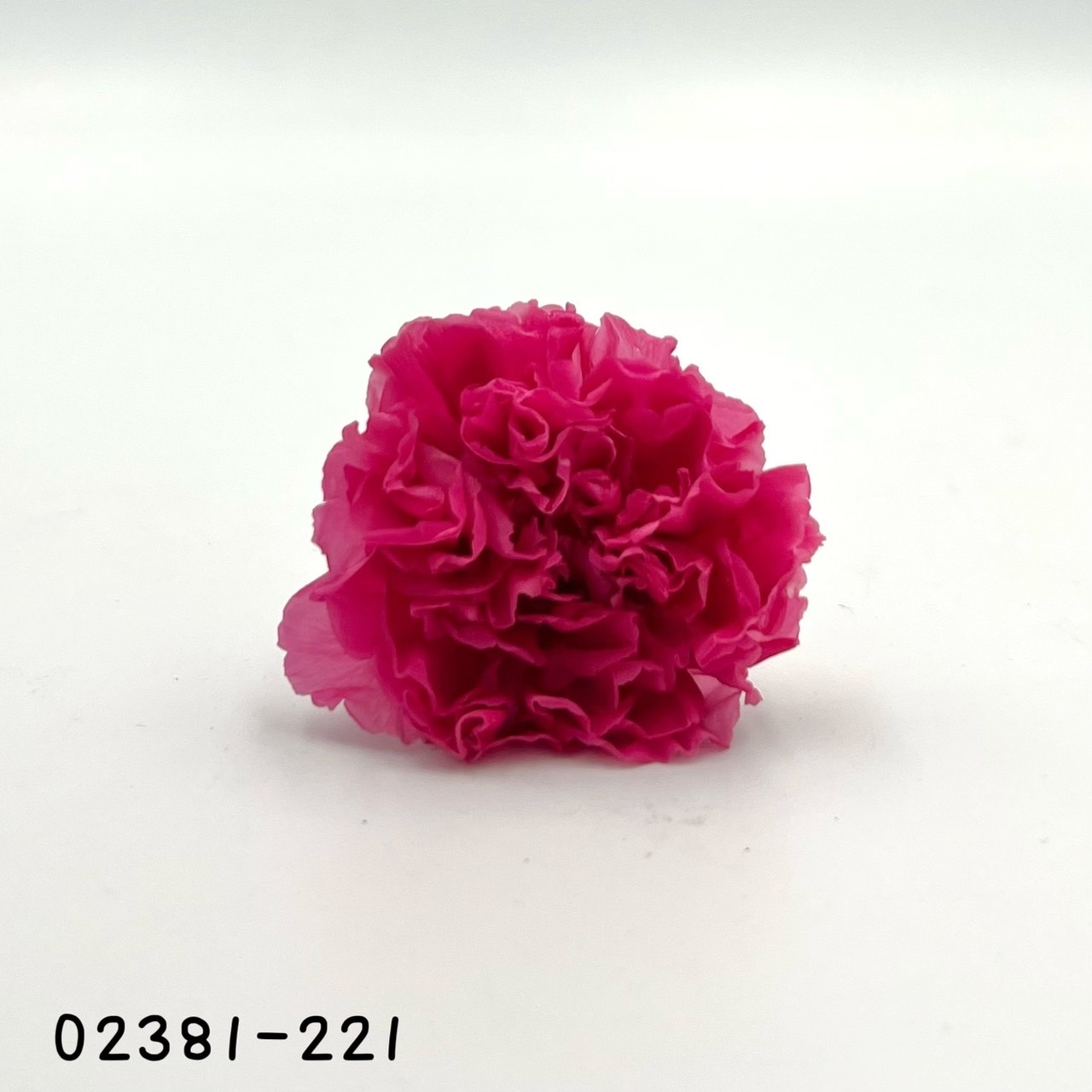 日本不凋中輪康乃馨(9朵) 02381-221