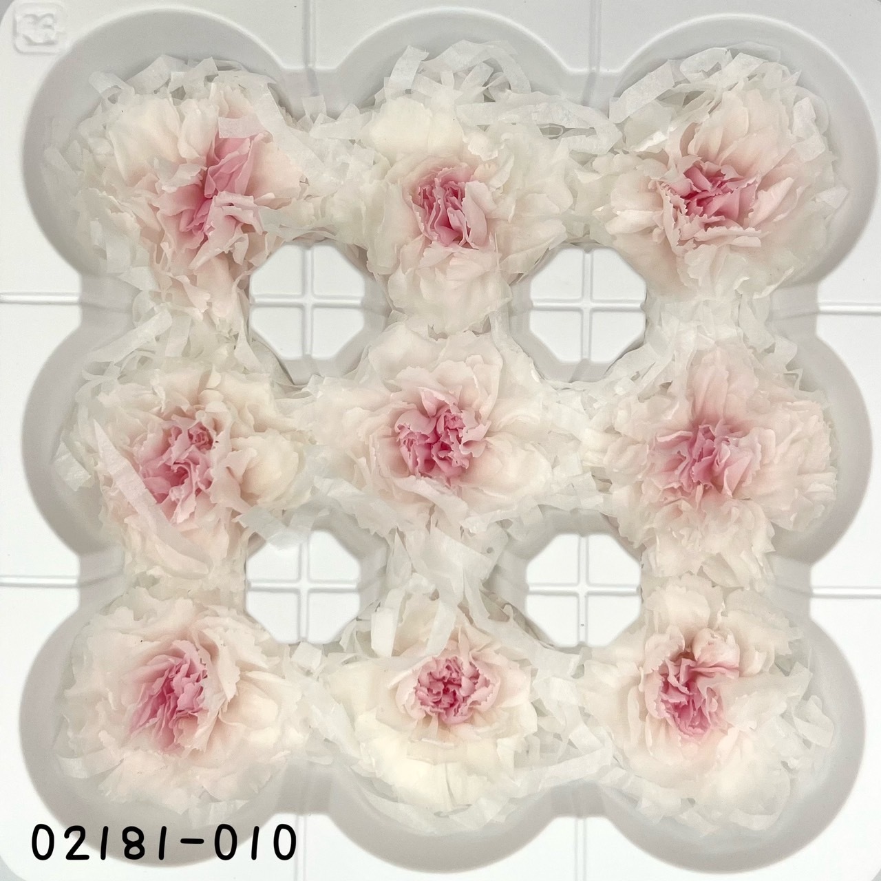 日本不凋康乃馨(9朵) 02181-010