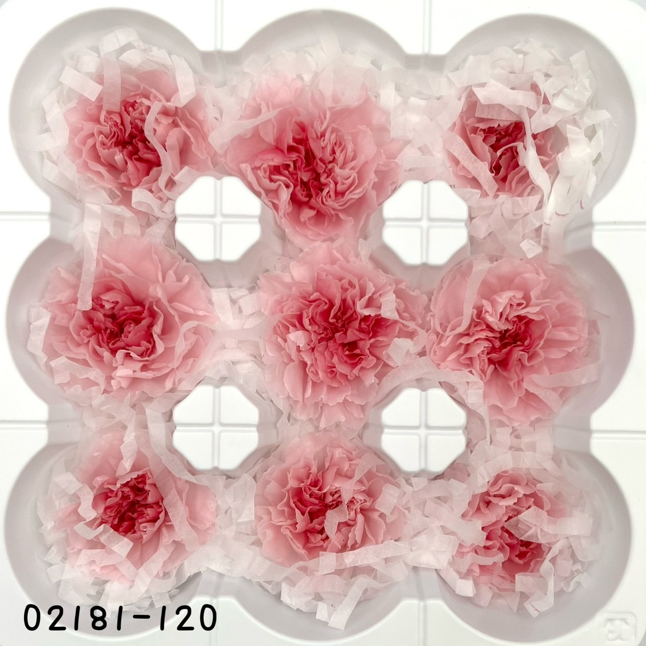 日本不凋康乃馨(9朵) 02181-120