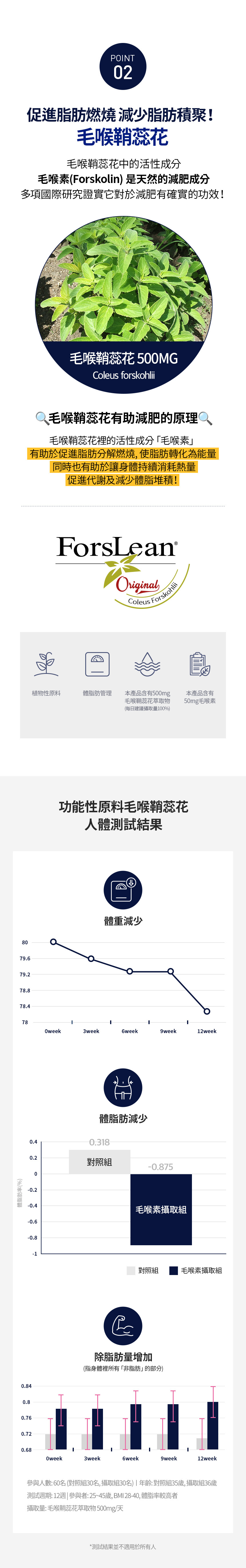 SERYBURN晚安減脂丸