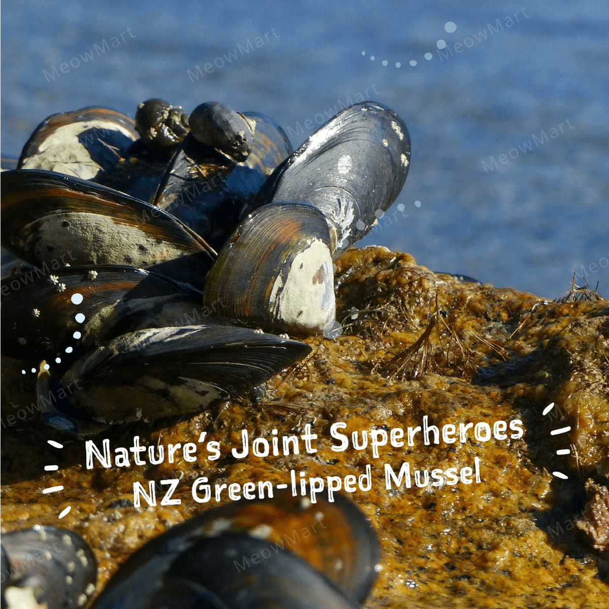 Loveabowl Freeze-a-Bowl 凍乾生肉貓糧