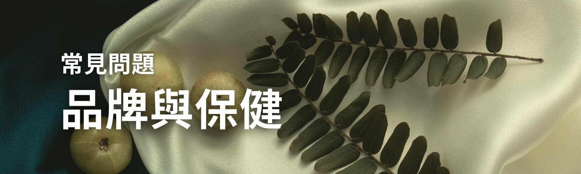常見問題-品牌與保健