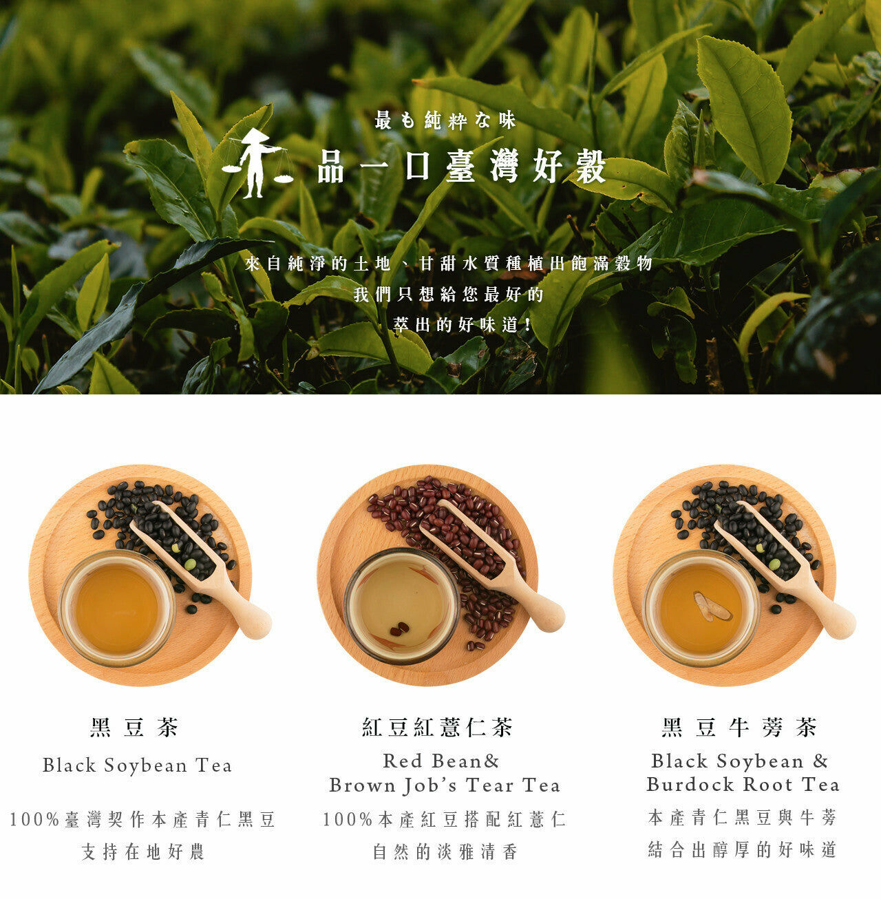 ⚡7月定79折⚡【金薌園】本產黑豆茶10gX10入/ 盒