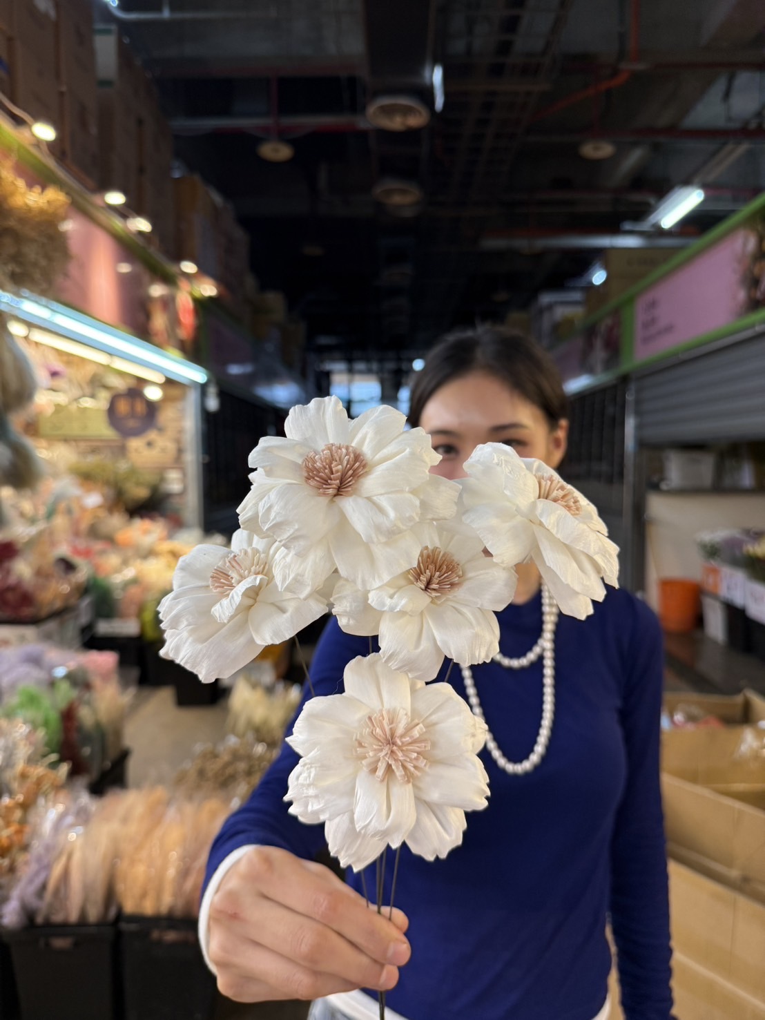 乾燥雲花索拉花