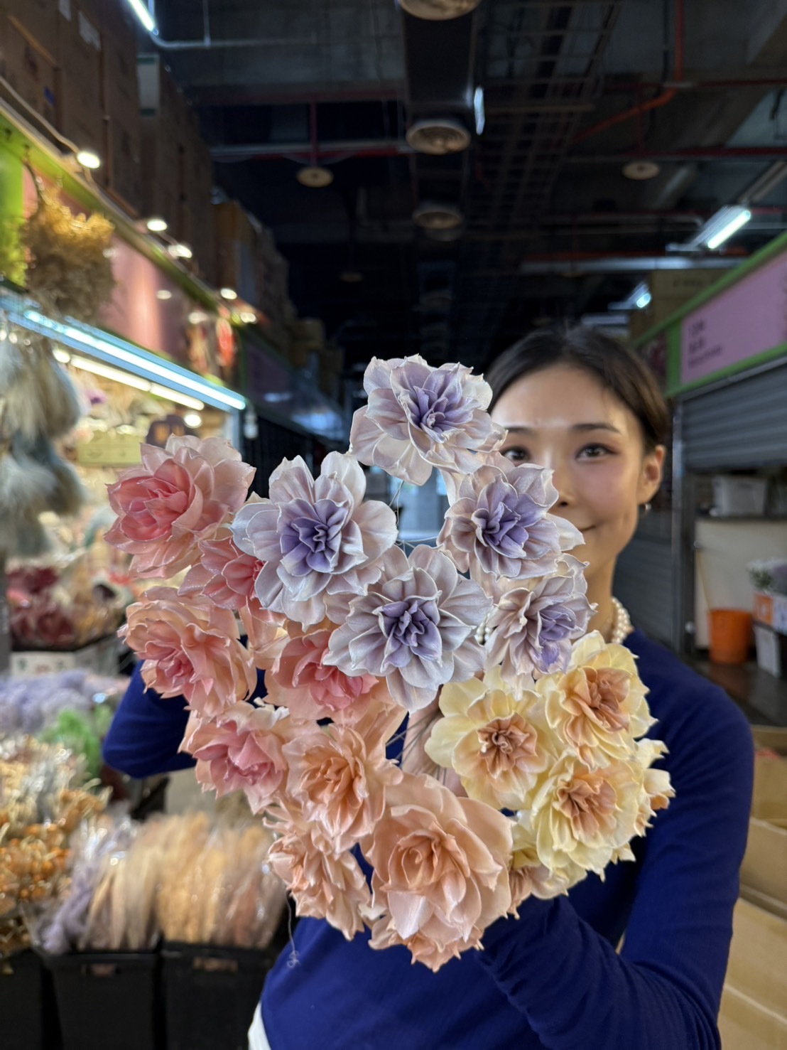 乾燥虎頭茉莉索拉