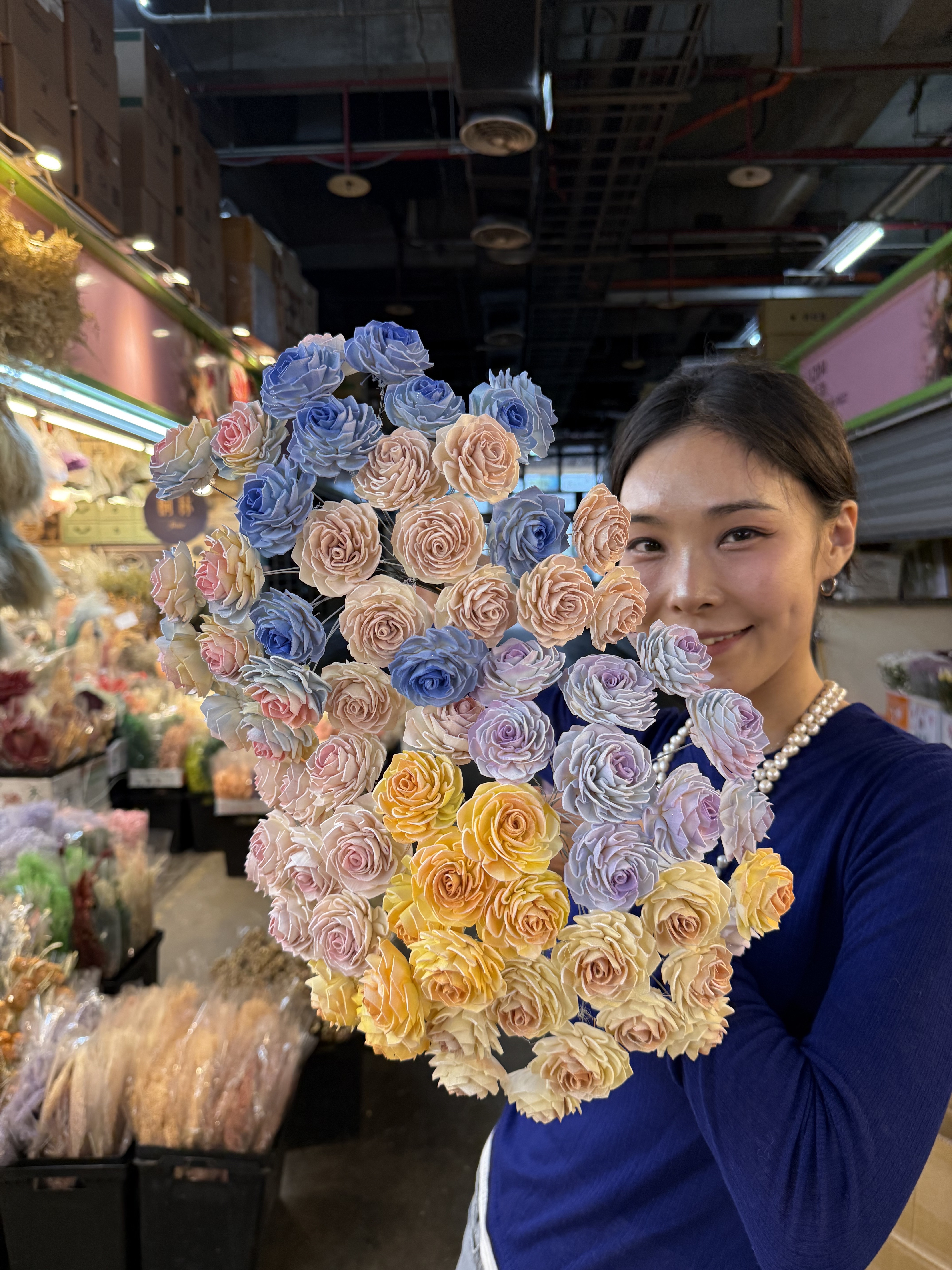 乾燥小大理花索拉