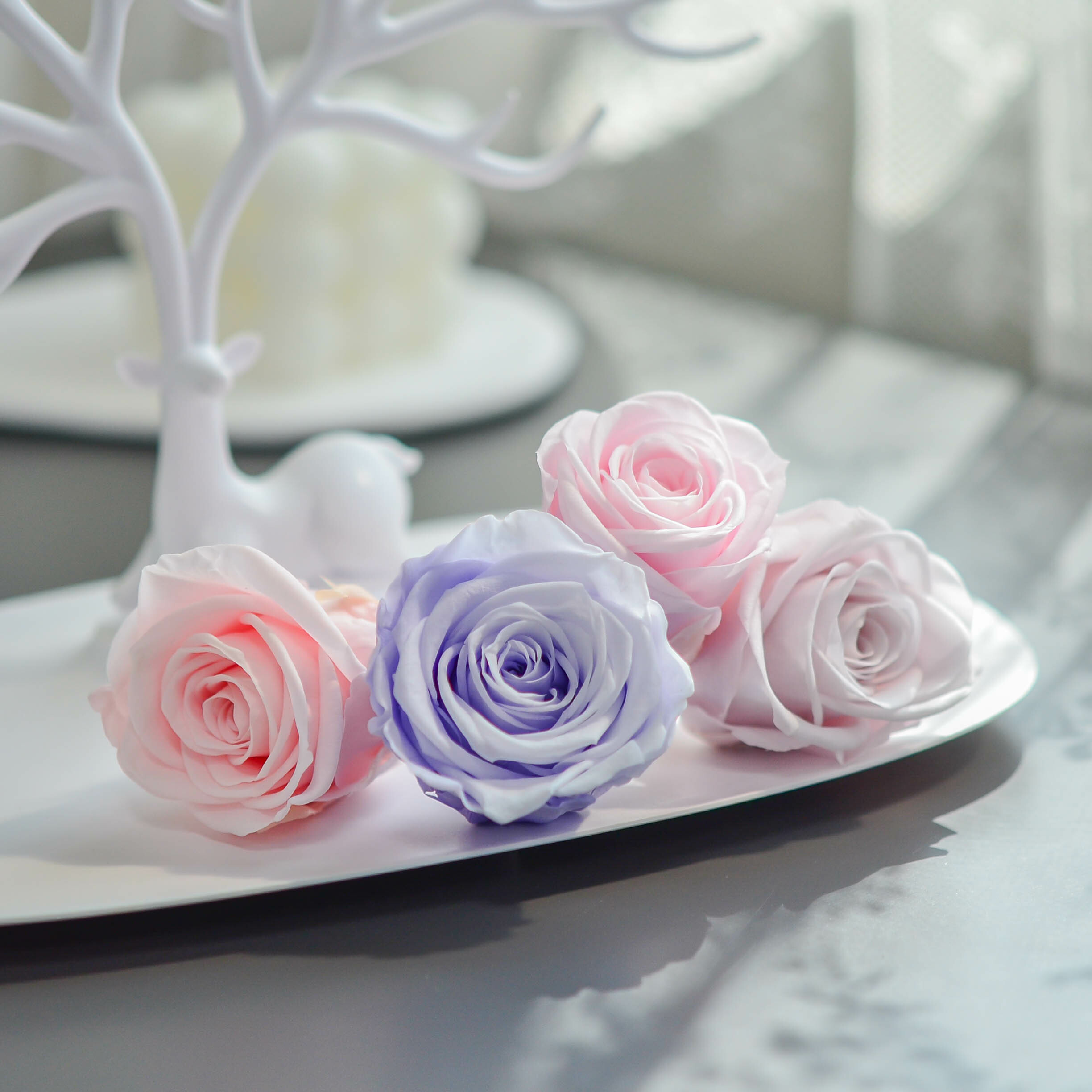 永生玫瑰花【6朵裝】