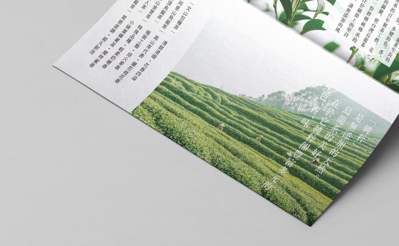 烏龍茶,台灣茶,oolongtea,tea,清友明心,kiyotomo,茶,茶葉,taiwantea