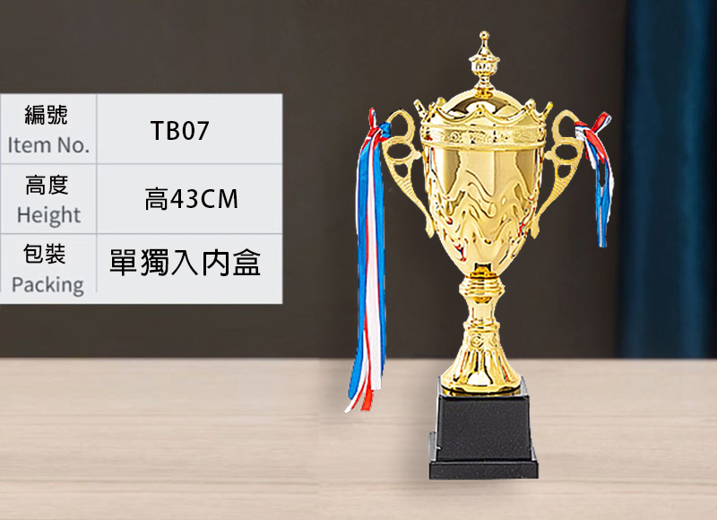 訂製金屬獎盃 升級送彩色排版金貼 TB07