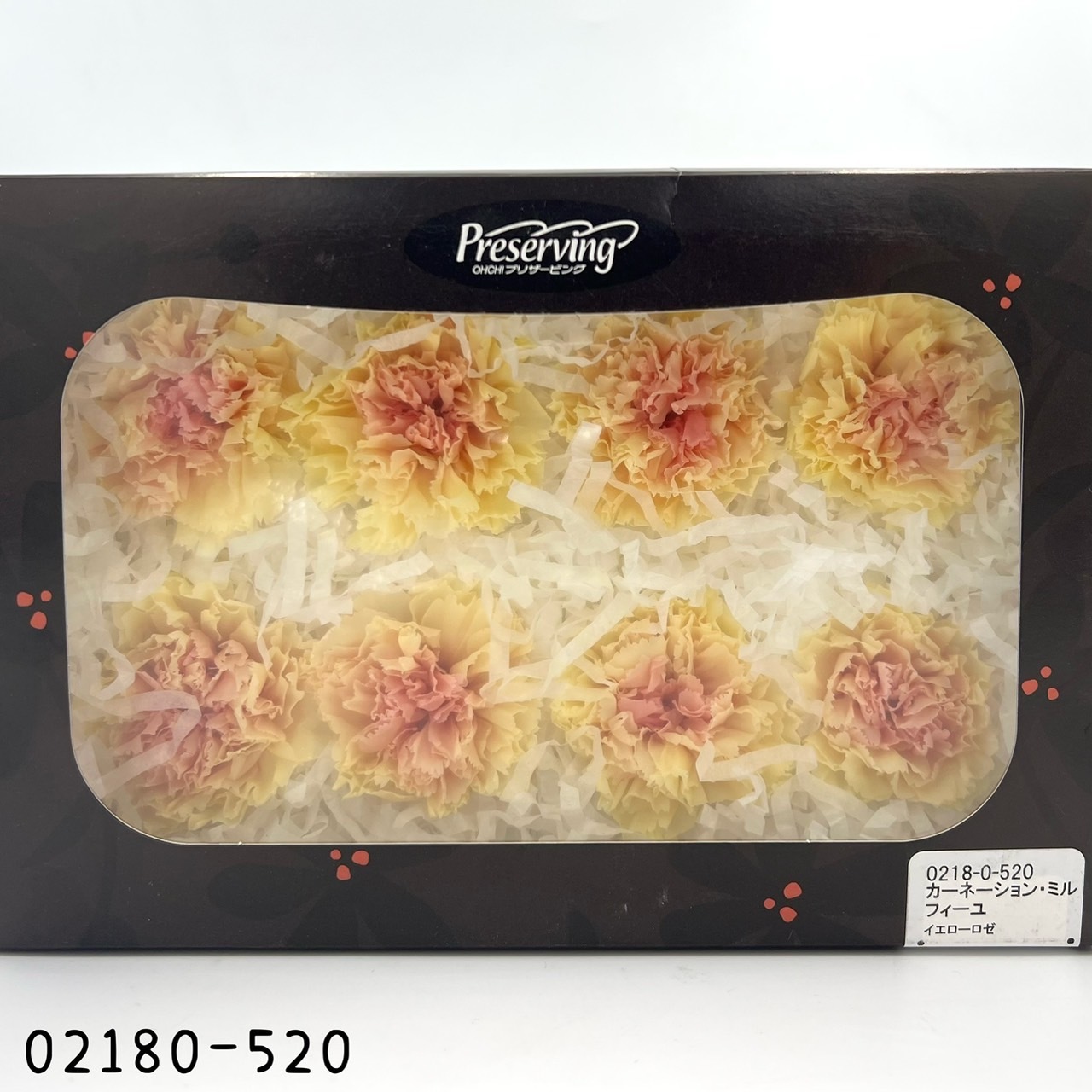 日本不凋大輪漸層康乃馨(8朵) 02180-520