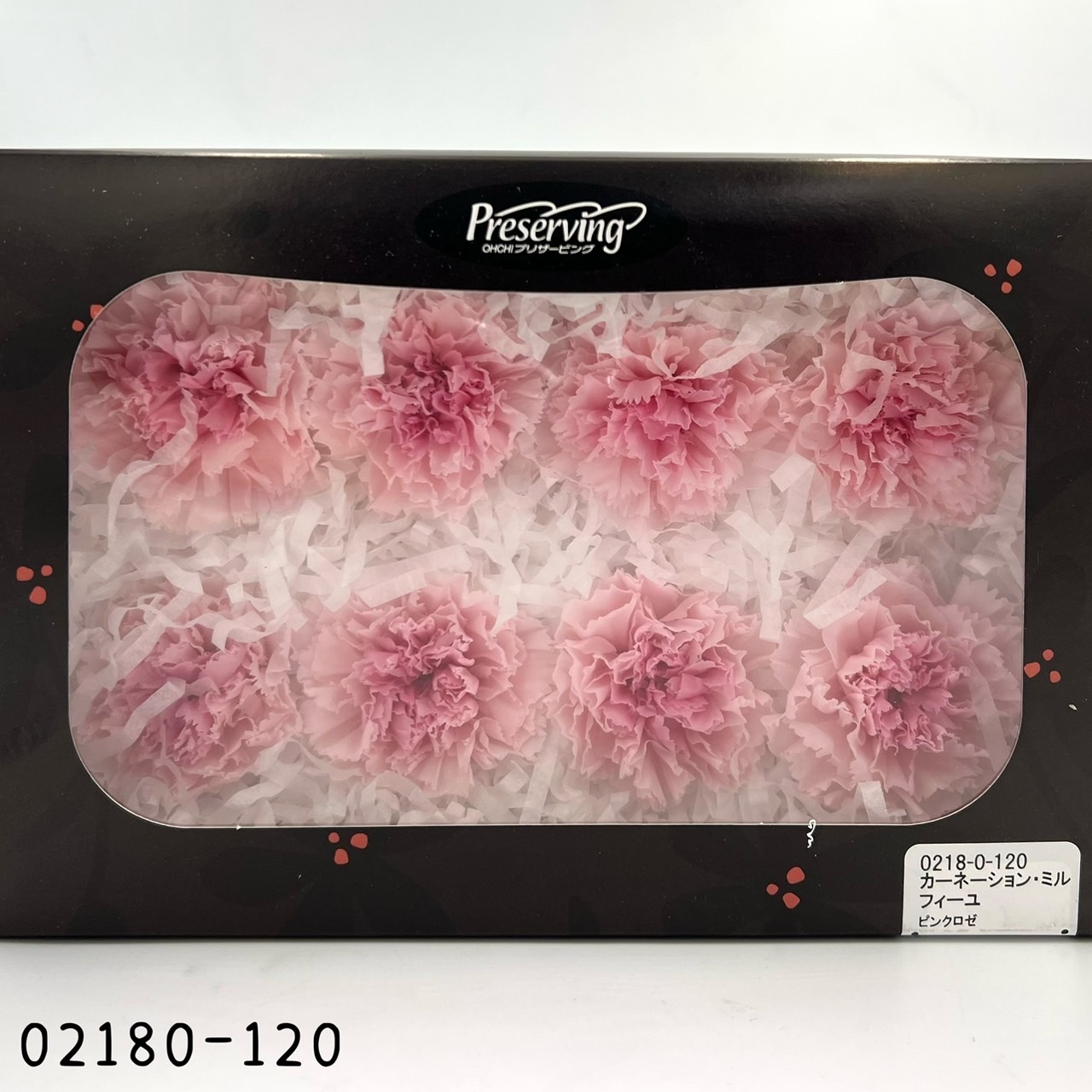 日本不凋大輪漸層康乃馨(8朵) 02180-120