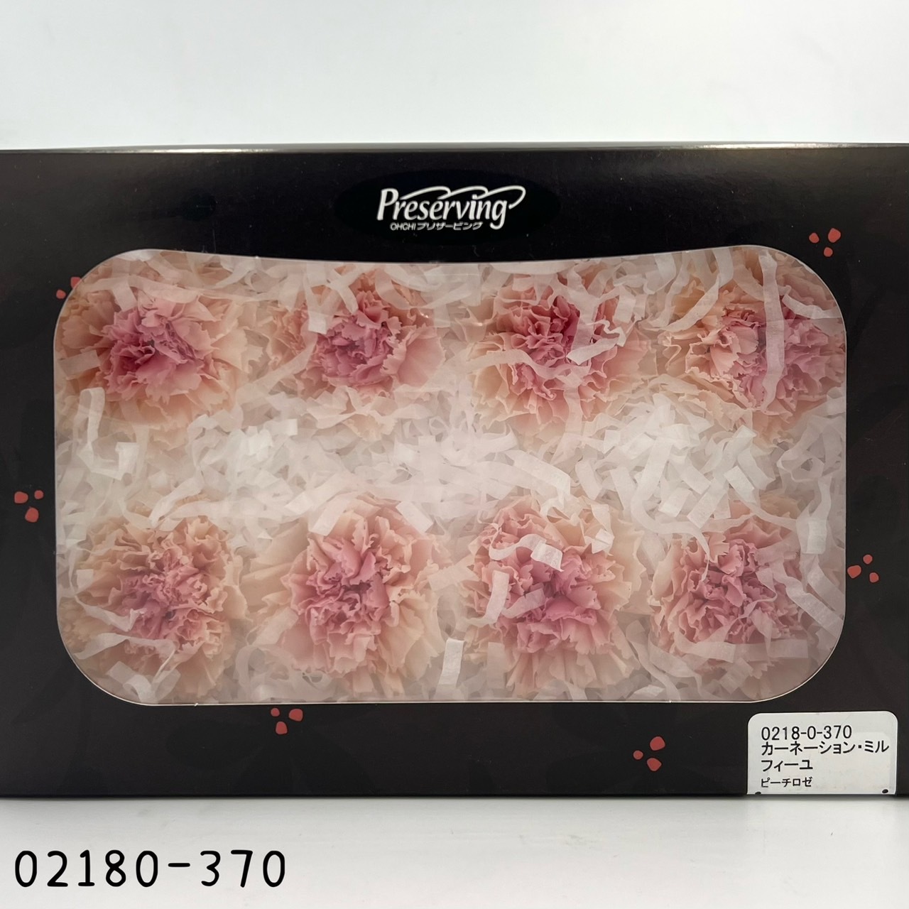 日本不凋大輪漸層康乃馨(8朵) 02180-370