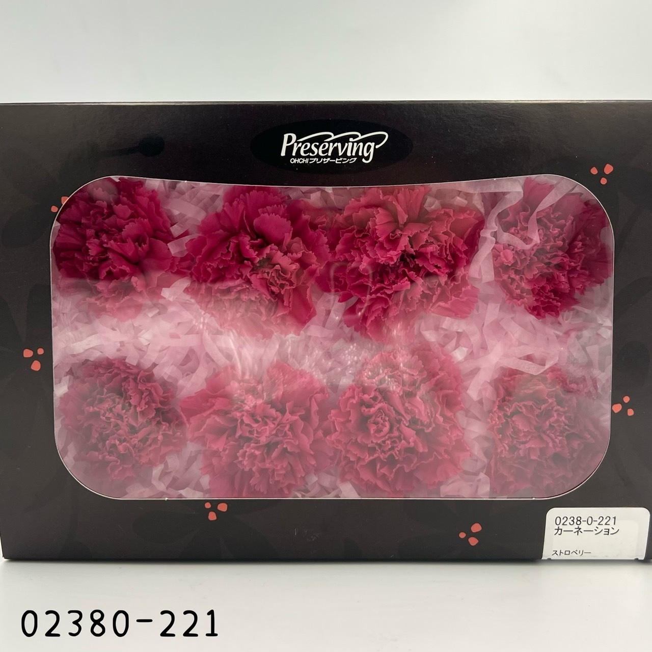 日本不凋大輪康乃馨(8朵) 02380-221