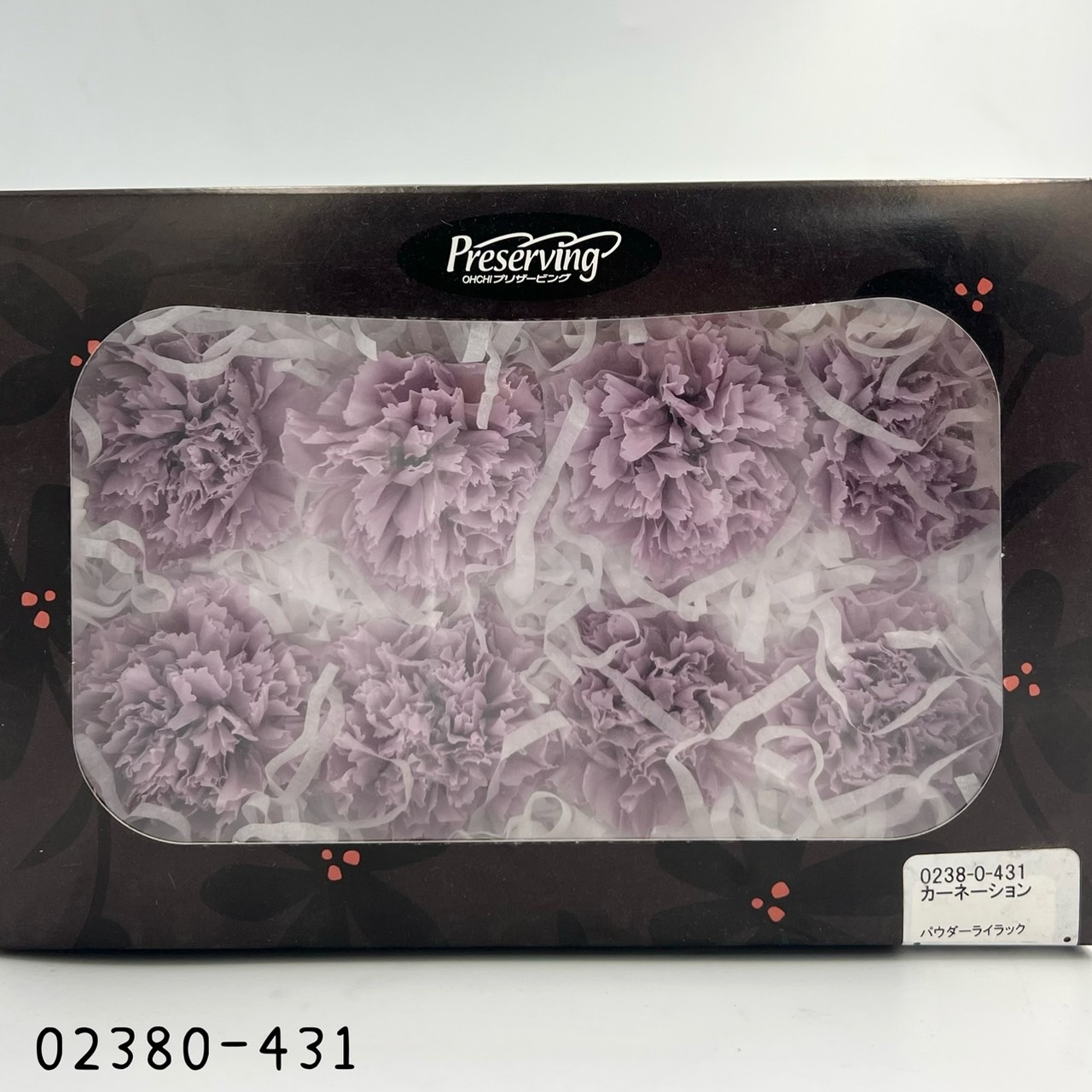 日本不凋大輪康乃馨(8朵) 02380-431