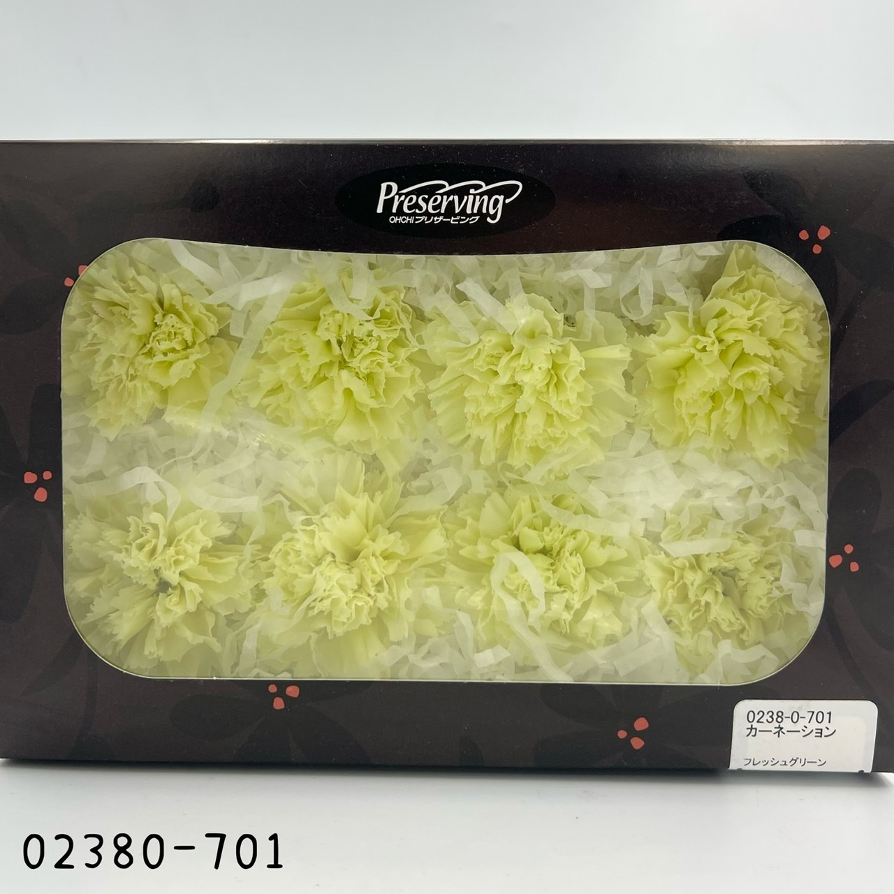 日本不凋大輪康乃馨(8朵) 02380-701