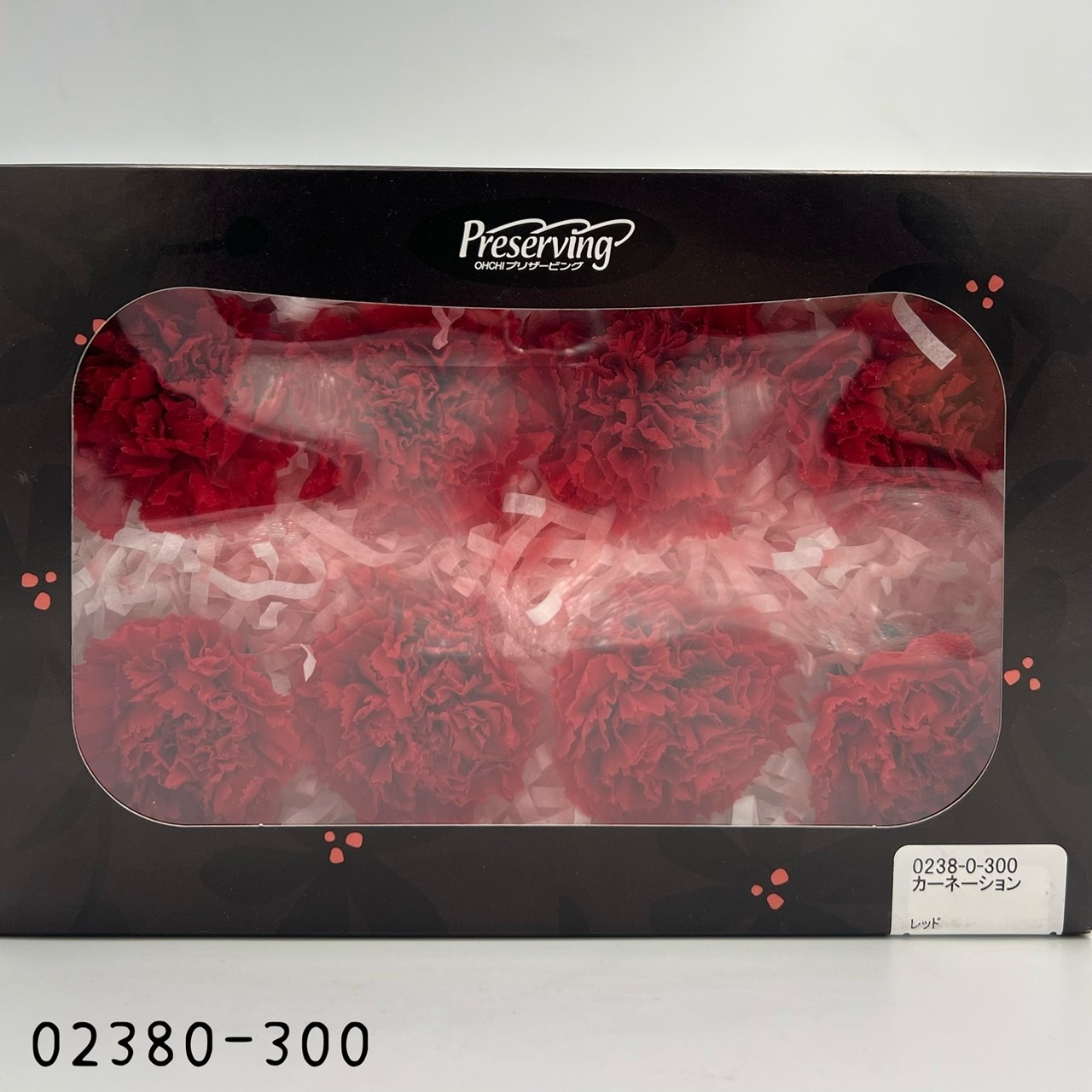 日本不凋大輪康乃馨(8朵) 02380-300