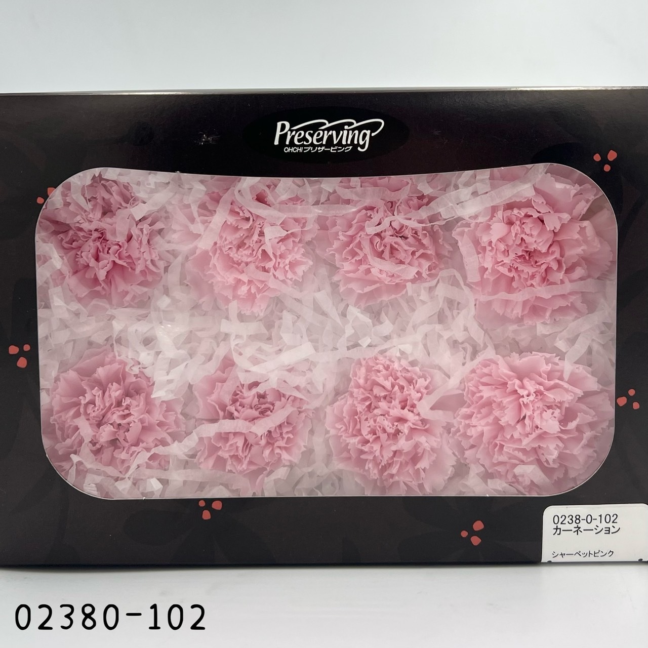 日本不凋大輪康乃馨(8朵) 02380-102