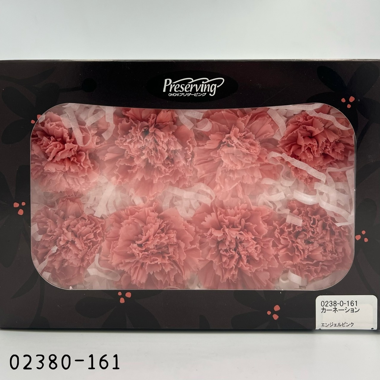 日本不凋大輪康乃馨(8朵) 02380-161