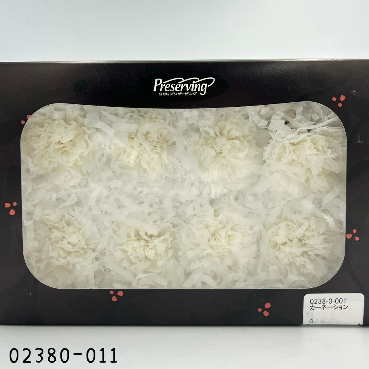 日本不凋大輪康乃馨(8朵) 02380-001