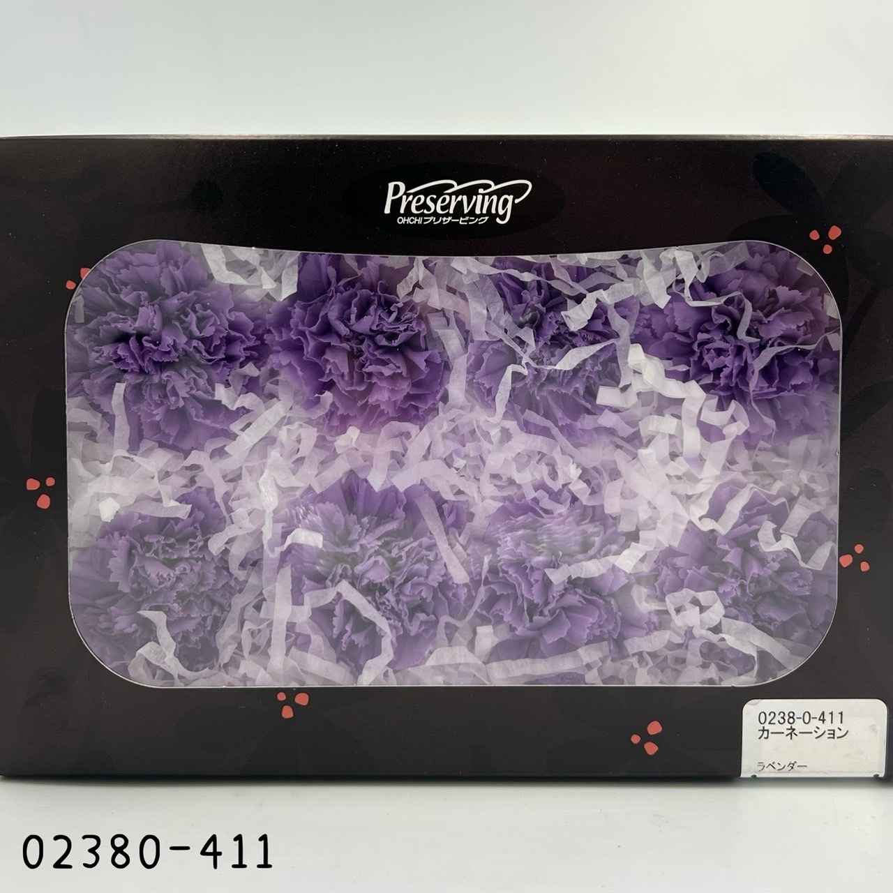 日本不凋大輪康乃馨(8朵) 02380-411