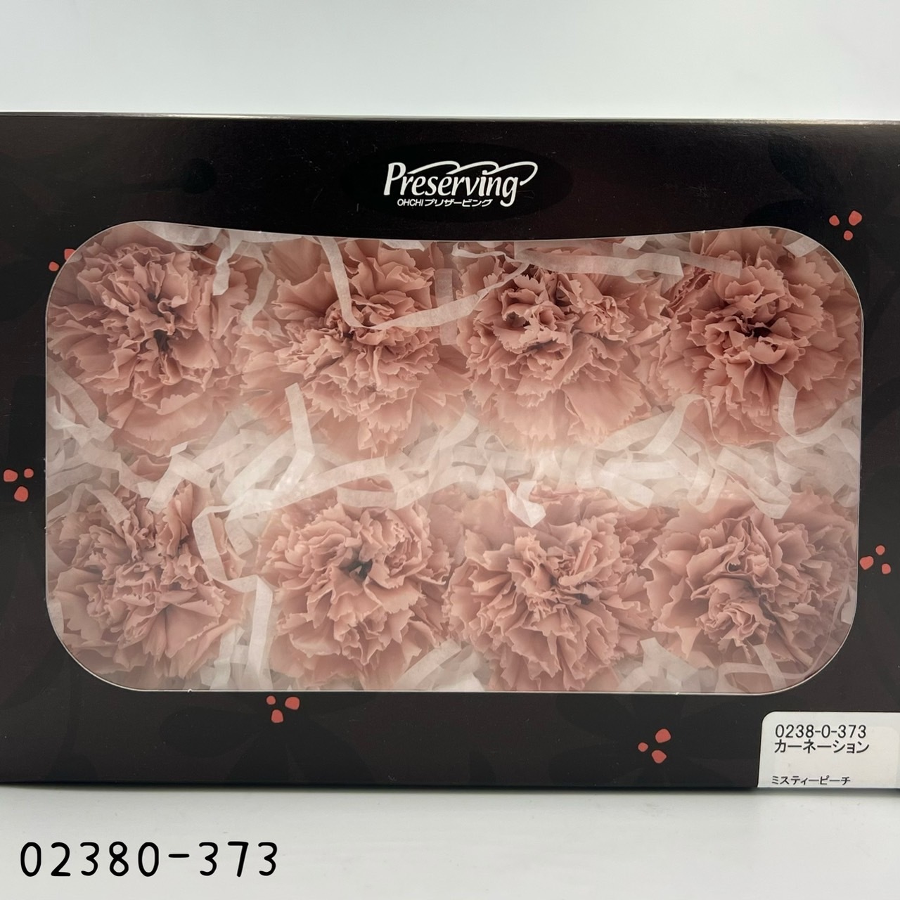 日本不凋大輪康乃馨(8朵) 02380-373