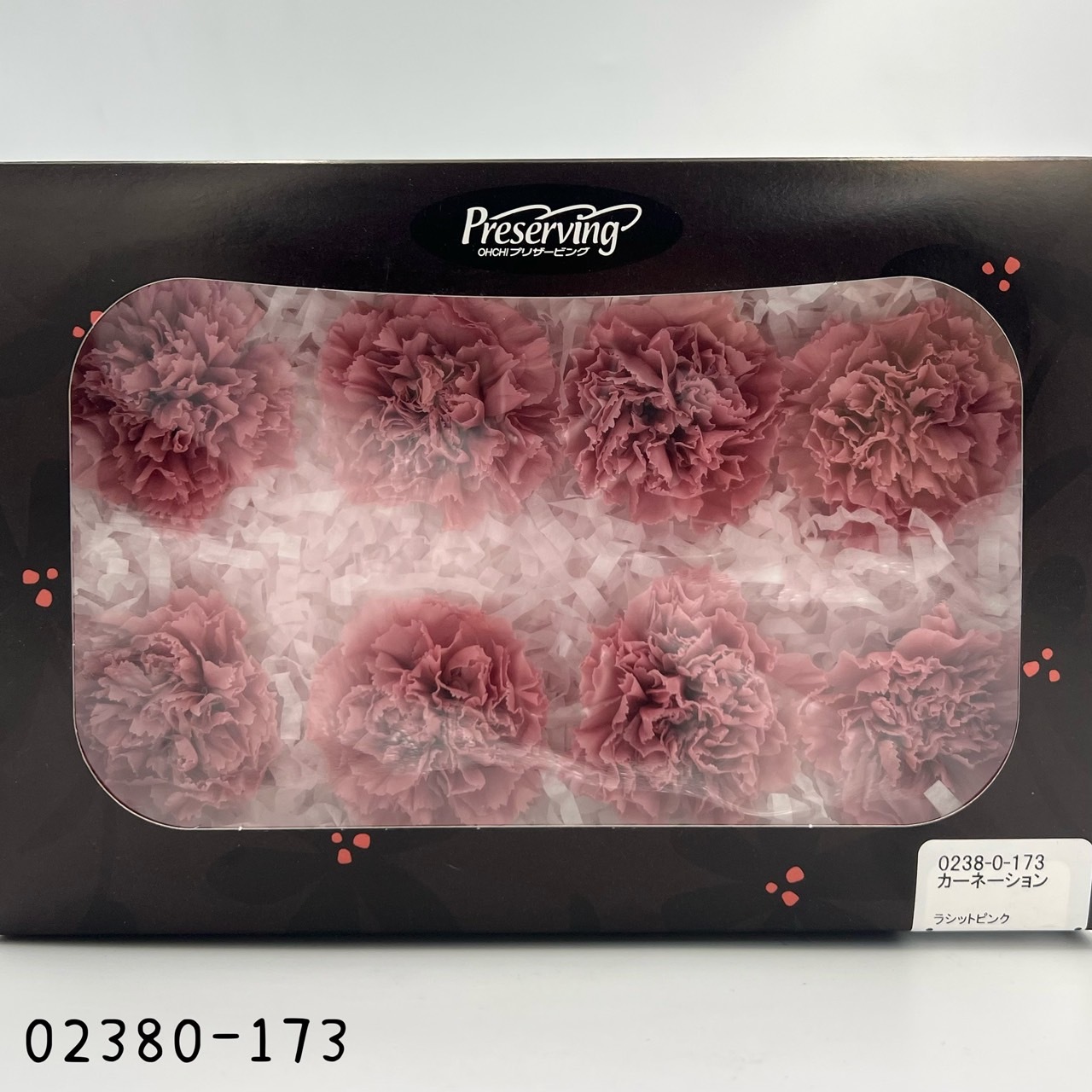 日本不凋大輪康乃馨(8朵) 02380-173