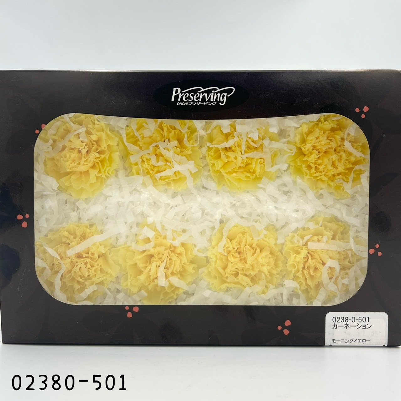 日本不凋大輪康乃馨(8朵) 02380-501