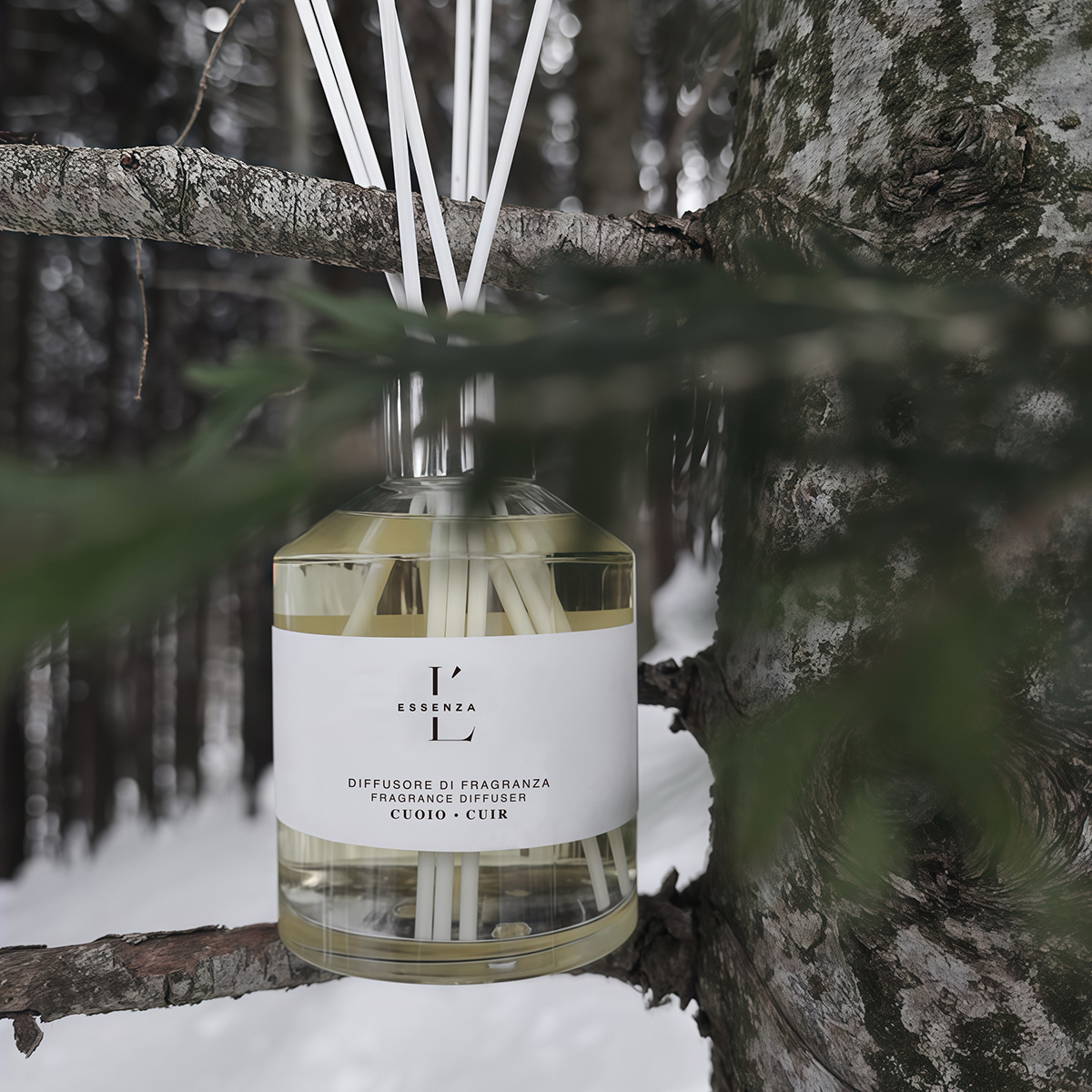 【L'ESSENZA】皮革與綠橄欖 室內擴香250ml