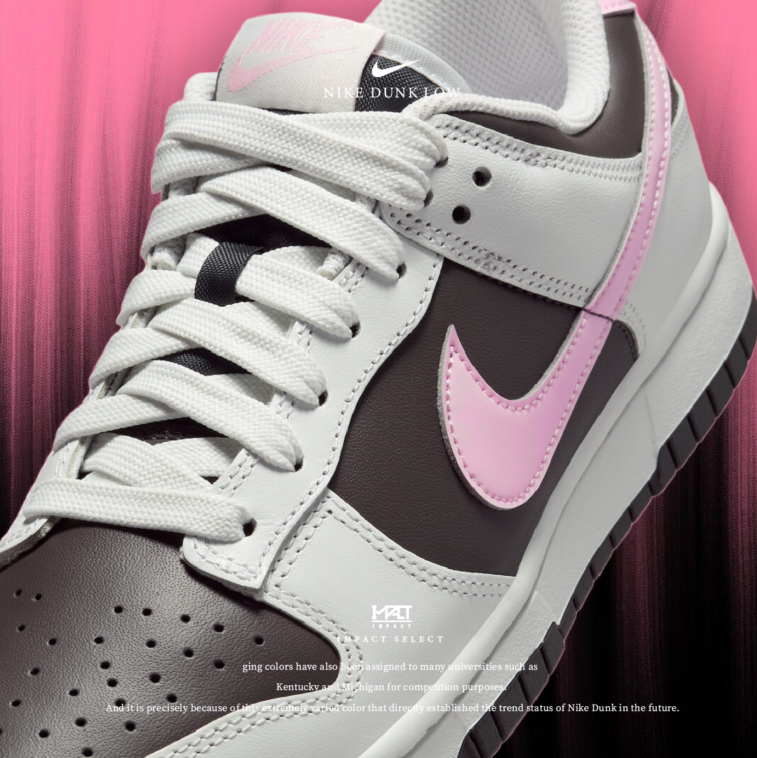 【即將發售】Nike Dunk Low 反轉熊貓配色 粉色 皮革 深棕色 IB8510-100